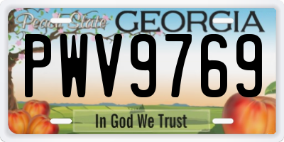 GA license plate PWV9769