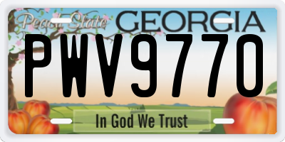GA license plate PWV9770