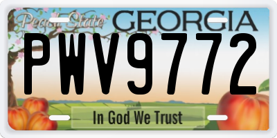 GA license plate PWV9772