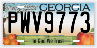 GA license plate PWV9773