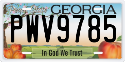 GA license plate PWV9785