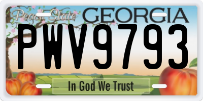 GA license plate PWV9793