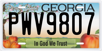 GA license plate PWV9807
