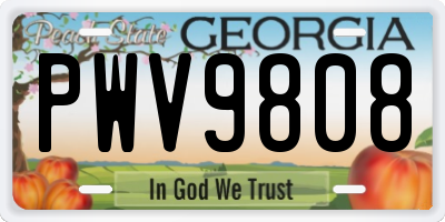 GA license plate PWV9808