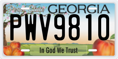 GA license plate PWV9810