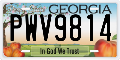 GA license plate PWV9814