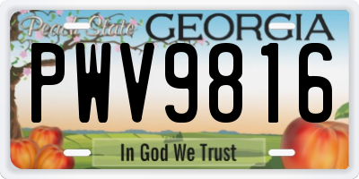 GA license plate PWV9816