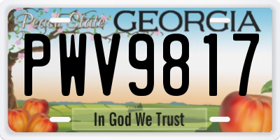 GA license plate PWV9817