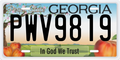 GA license plate PWV9819