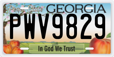 GA license plate PWV9829