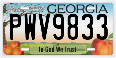 GA license plate PWV9833