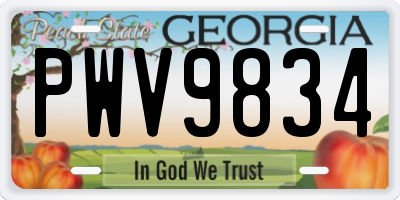 GA license plate PWV9834