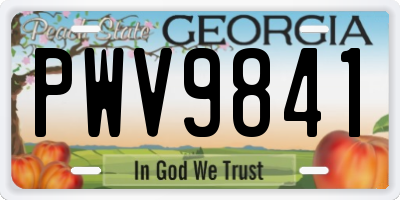 GA license plate PWV9841
