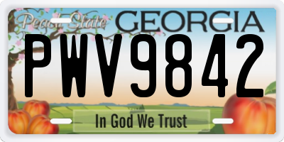 GA license plate PWV9842