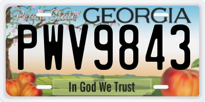 GA license plate PWV9843