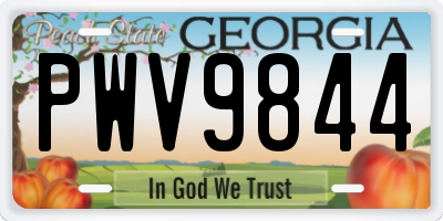 GA license plate PWV9844