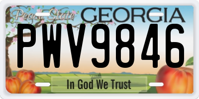 GA license plate PWV9846