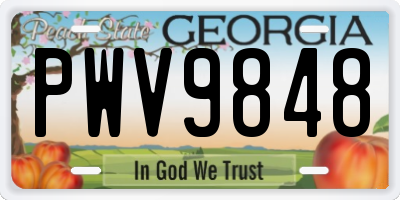 GA license plate PWV9848