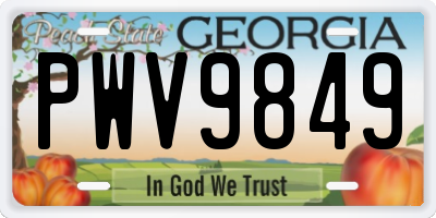 GA license plate PWV9849