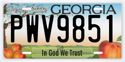 GA license plate PWV9851