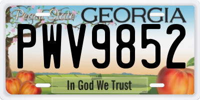 GA license plate PWV9852