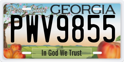GA license plate PWV9855
