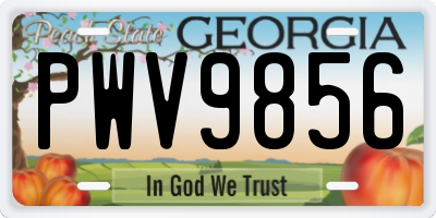 GA license plate PWV9856