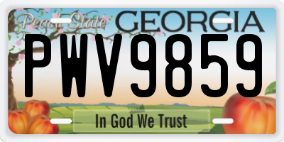 GA license plate PWV9859