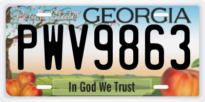 GA license plate PWV9863