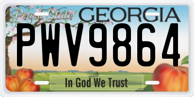 GA license plate PWV9864