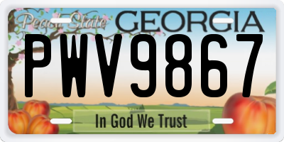 GA license plate PWV9867