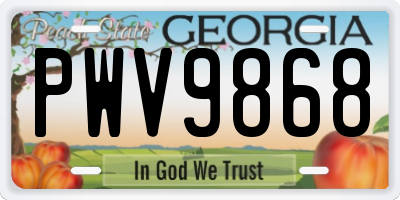GA license plate PWV9868
