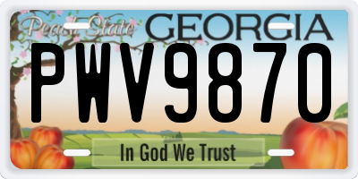 GA license plate PWV9870