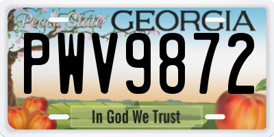 GA license plate PWV9872