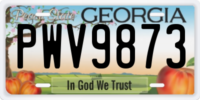 GA license plate PWV9873
