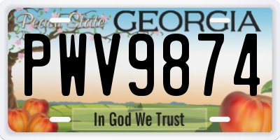 GA license plate PWV9874