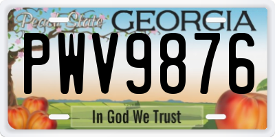 GA license plate PWV9876