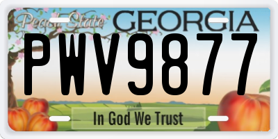 GA license plate PWV9877