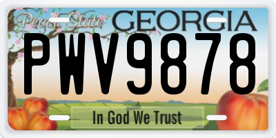 GA license plate PWV9878