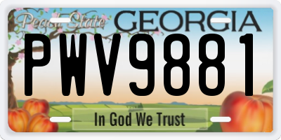 GA license plate PWV9881
