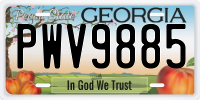 GA license plate PWV9885