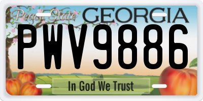 GA license plate PWV9886