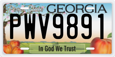 GA license plate PWV9891