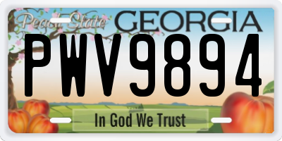 GA license plate PWV9894