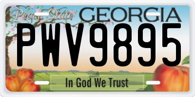 GA license plate PWV9895