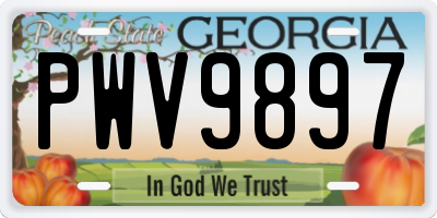 GA license plate PWV9897