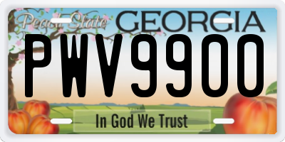 GA license plate PWV9900