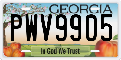 GA license plate PWV9905