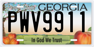 GA license plate PWV9911