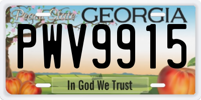 GA license plate PWV9915